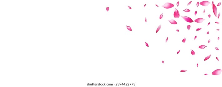 Transparent Cherry Petal Vector Panoramic Background. Pastel Soft Lotus Petal Backdrop. Sakura Petal Realistic Congratulation. Wallpaper Flower Petal Illustration.
