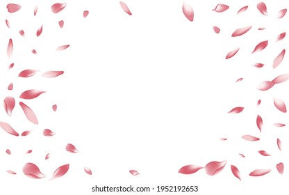 Transparenter Kirschturmvektor, weißer Hintergrund. Purple Romance Apple Petal Poster. Pfirsich Petal Einladung Rahmen. Fußrosen-Petalhintergrund.