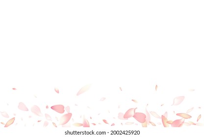 Transparent Cherry Petal Vector White Background. Purple Falling Lotus Petal Pattern. Apple Petal 3d Poster. Romantic Rose Petal Illustration.