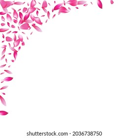 Fondo blanco transparente del vector del cerezo Petal. Patrón de Petal Sakura de Primavera Blanca. Textura del florecimiento de la Petal de las flores. Tarjeta Aroma Apple Petal.