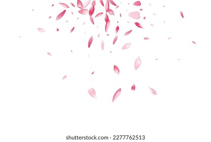 Transparent Cherry Petal Vector White Background. Color Floor Flower Petal Frame. Apple Petal 3d Template. Fall Sakura Petal Congratulation.