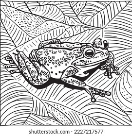 Página de coloreado transparente de una rana sentada en un contorno blanco y negro de hoja