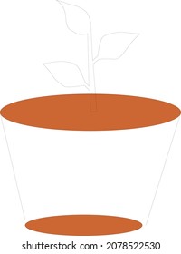 Transparent design pot with plants inside