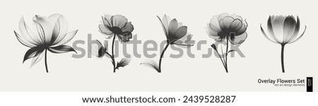 Similar – Image, Stock Photo Aesthetic black and white portrait