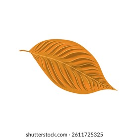 transparent dry leaves without background