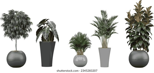 Transparent Elegance; Gorgeous Plant Cut-Outs