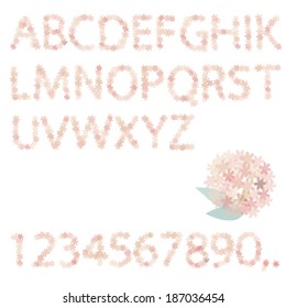 transparent flower letters