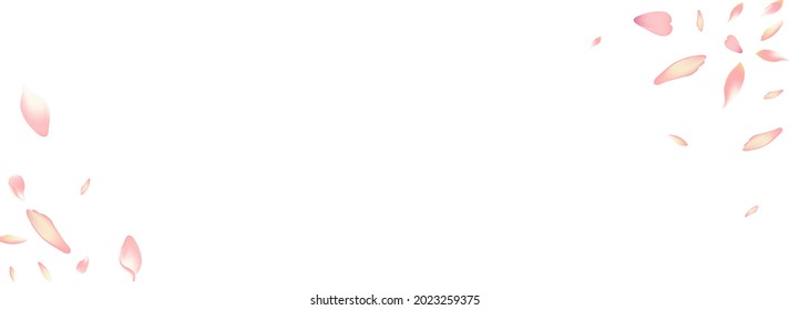 Transparent Flower Petal Vector Panoramic Background. Color Floor Cherry Petal Card. Rose Petal Delicate Frame. Beauty Sakura Petal Design.