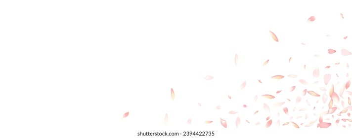 Transparent Flower Petal Vector Panoramic Background. Pastel Floor Lotus Petal Congratulation. Rose Petal Spa Poster. Romance Cherry Petal Cover.