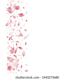 Transparent Flower Petal Vector White Background. Pastel Spa Cherry Petal Texture. Rose Petal Invitation Pattern. Dream Peach Petal Congratulation.