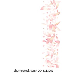 Transparent Flower Petal Vector White Background. Pink Modern Cherry Petal Congratulation. Apple Petal Spring Poster. 3d Lotus Petal Frame.