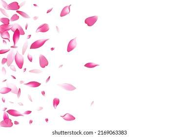 Transparent Flower Petal Vector White Background. Color Air Sakura Petal Backdrop. Apple Petal Spring Frame. Japan Rose Petal Illustration.
