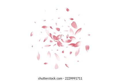 Transparent Flower Petal Vector White Background. Color Spring Lotus Petal Banner. Sakura Petal Romance Product. Japanese Apple Petal Backdrop.