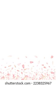 Transparent Flower Petal Vector White Background. Color Wedding Peach Petal Congratulation. Sakura Petal Fresh Banner. Modern Lotus Petal Illustration.