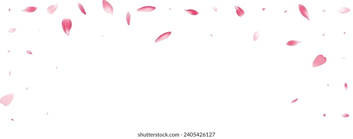 Transparent Flower Petal Vector White Background. Color Dream Sakura Petal Cover. Lotus Petal Flying Product. Realistic Rose Petal Poster.