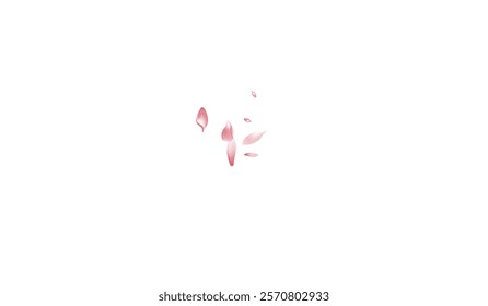 Transparent Flower Petal Vector White Background. White Aroma Peach Petal Texture. Rose Petal Modern Pattern. Romance Lotus Petal Design.