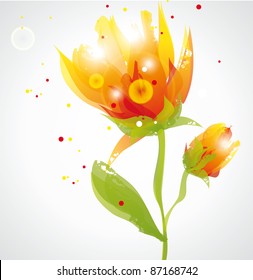 transparent flowers