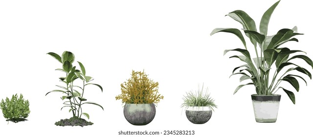 Transparent Garden Gems, Stunning Cut-out transparency backgrounds illustration png