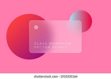 Transparent glass card design. Glass morphism vector effect. Glass-morphism trend style. Сolored  circles on the background