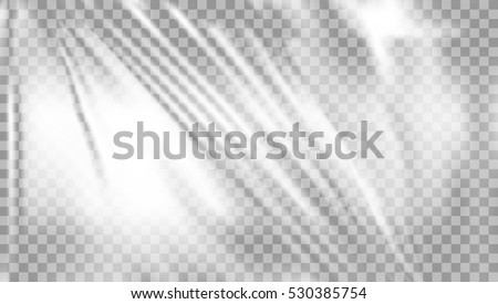 Transparent Glossy Polyethylene Plastic Warp. EPS10 Vector
