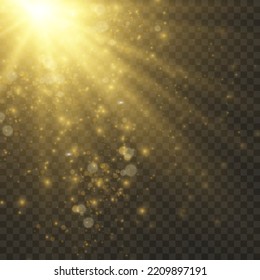 Transparent glow effect. The star burst with brilliance. golden sequins
