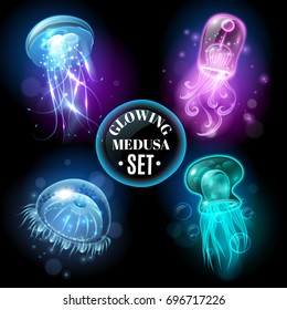 Transparent glowing pink purple blue and turquoise  medusa blubber jellyfish set decorative black background poster vector illustration 