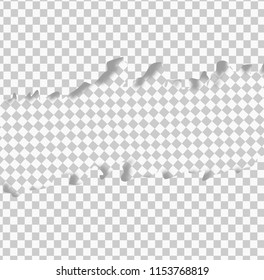 transparent horizontal ripped paper, layered,Sheet paper,Torn paper vector.