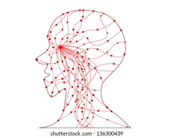 Transparent human head vasculature.