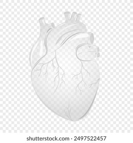Transparent human heart. The heart with the venous system,for anatomy and study, medical or healthcare concept. Vector illustration.