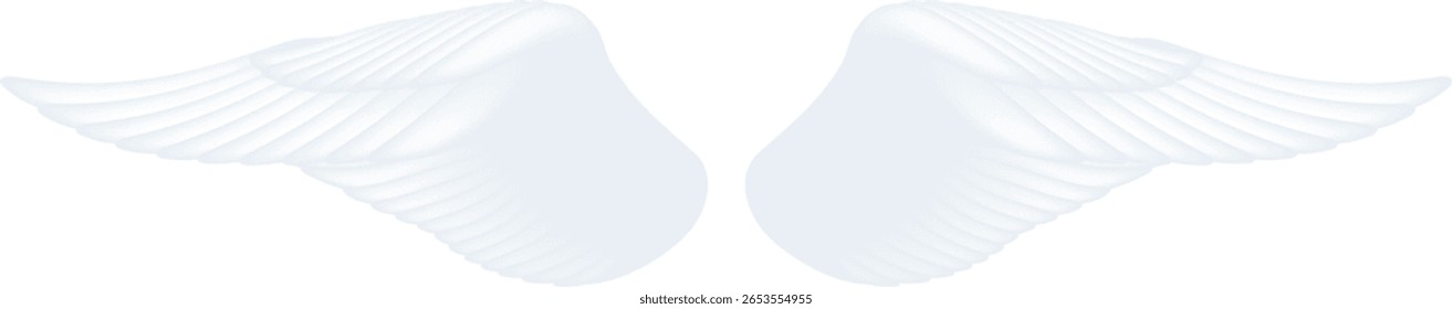 Transparent Illustration of White Wings