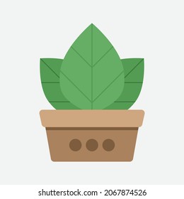 Planta aislada transparente en gráfico vectorial escalable de multiusos de pota y árbol