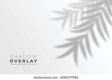 transparent leaves shadow overlay effect