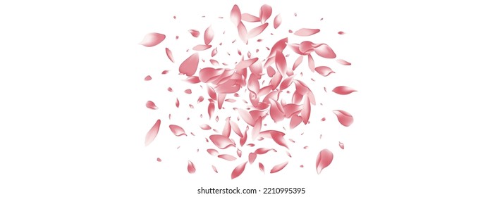 Transparent Lotus Petal Vector Panoramic Background. Pink Aroma Peach Petal Product. Apple Petal Floral Congratulation. Spa Cherry Petal Texture.