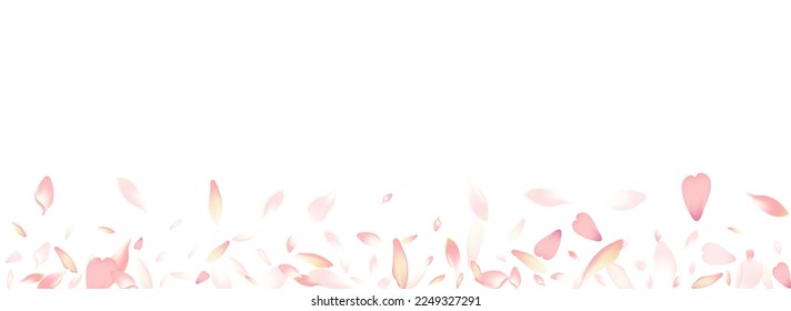 Transparent Lotus Petal Vector Panoramic Background. Pink Fresh Flower Petal Design. Apple Petal Spa Backdrop. Blossom Cherry Petal Congratulation.