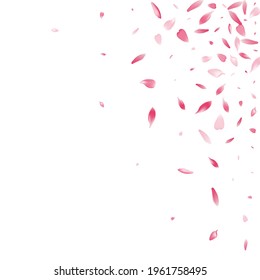 Transparent Lotus Petal Vector White Background. Purple Romantic Flower Petal Design. Apple Petal Beauty Pattern. Romance Sakura Petal Banner.
