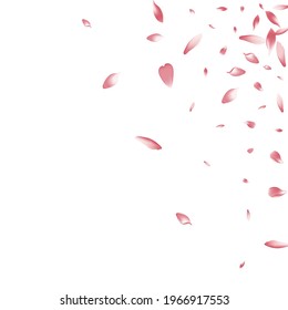 Transparent Lotus Petal Vector White Background. Pink Spring Rose Petal Backdrop. Flower Petal Bright Design. Realistic Apple Petal Card.