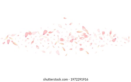 Transparent Lotus Petal Vector White Background. Color Invitation Rose Petal Product. Peach Petal Japan Poster. Floral Cherry Petal Illustration.