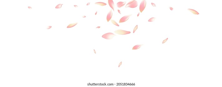 Transparent Lotus Petal Vector White Background. White Realistic Cherry Petal Pattern. Apple Petal Floral Card. Romance Rose Petal Backdrop.