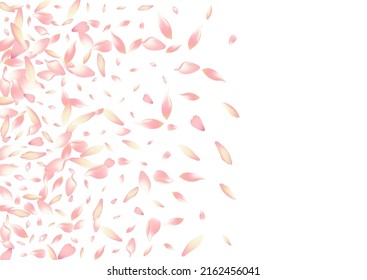 Transparent Lotus Petal Vector White Background. Pink Modern Sakura Petal Poster. Apple Petal Japanese Congratulation. March Peach Petal Design.