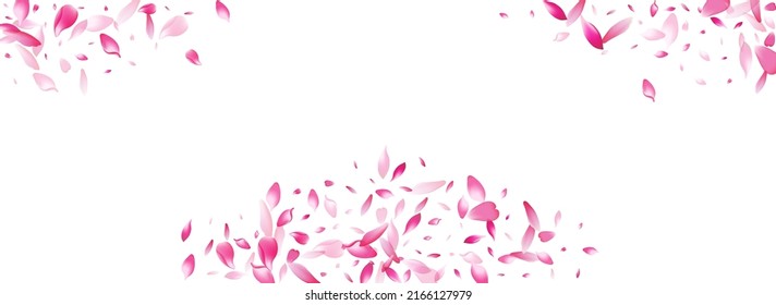 Transparent Lotus Petal Vector White Background. Pastel Delicate Rose Petal Banner. Flower Petal Romance Card. Wallpaper Peach Petal Backdrop.