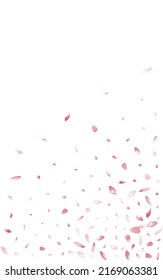 Transparent Lotus Petal Vector White Background. Pink 3d Peach Petal Illustration. Rose Petal Blossom Card. Air Apple Petal Cover.