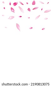 Transparent Lotus Petal Vector White Background. Pastel Wedding Apple Petal Cover. Rose Petal Japanese Backdrop. March Peach Petal Congratulation.