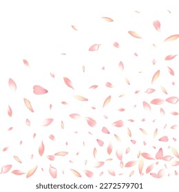 Transparent Lotus Petal Vector White Background. White Fresh Apple Petal Template. Flower Petal Dream Banner. Floral Cherry Petal Backdrop.