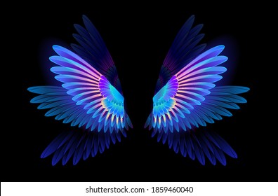 Transparent, Luminous, Blue, Iridescent Hummingbird Wings On Dark Background.