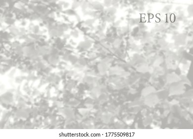 Transparent natural apple tree branches shadow. Light effect overlay. Mesh grid. Presentation your design card, poster, stories Photo realistic vector illustration