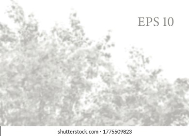 Transparent natural birch tree branches shadow. Light effect overlay. Mesh grid. Presentation your design card, poster, stories Photo realistic vector illustration