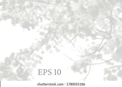 Transparent natural linden tree branches shadow. Light effect overlay. Mesh grid. Presentation your design card, poster, stories Photo realistic vector illustration