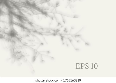 Transparent natural plant shadow. Light effect overlay. Mesh grid. Presentation your design card, poster, stories Photo realistic vector illustration