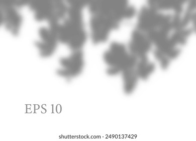 Transparent natural plant shadow. Light effect overlay. Mesh grid. Shadows from branches, plant, foliage and leaves on ground. Presentation your design card, poster Photo realistic vector illustration