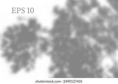 Transparent natural plant shadow. Light effect overlay. Mesh grid. Shadows from branches, plant, foliage and leaves on ground. Presentation your design card, poster Photo realistic vector illustration